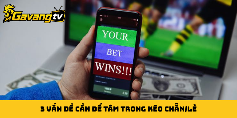3 vấn đề cần để tâm trong kèo chẵn/lẻ