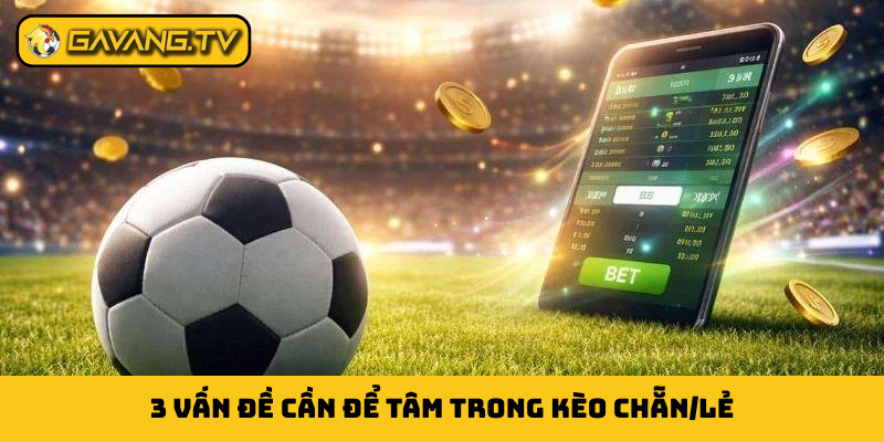3 vấn đề cần để tâm trong kèo chẵn/lẻ