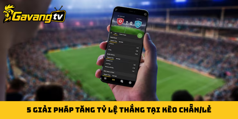 5 giải pháp tăng tỷ lệ thắng tại kèo chẵn/lẻ