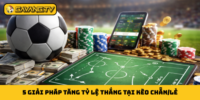 5 giải pháp tăng tỷ lệ thắng tại kèo chẵn/lẻ