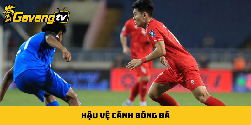 Hậu vệ cánh