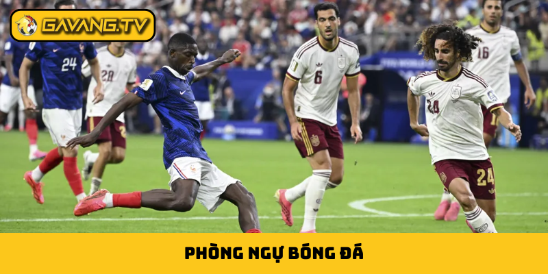 phòng ngự