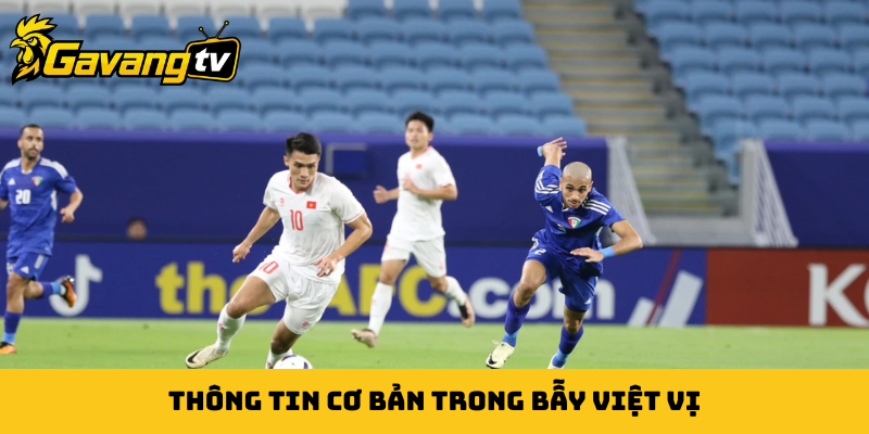 Thông tin cơ bản trong bẫy việt vị