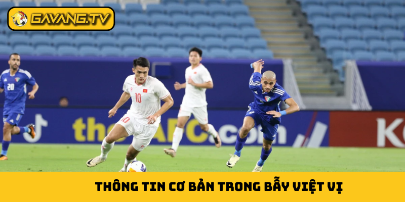 Thông tin cơ bản trong bẫy việt vị