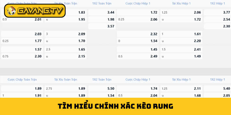 Tìm hiểu chính xác kèo rung