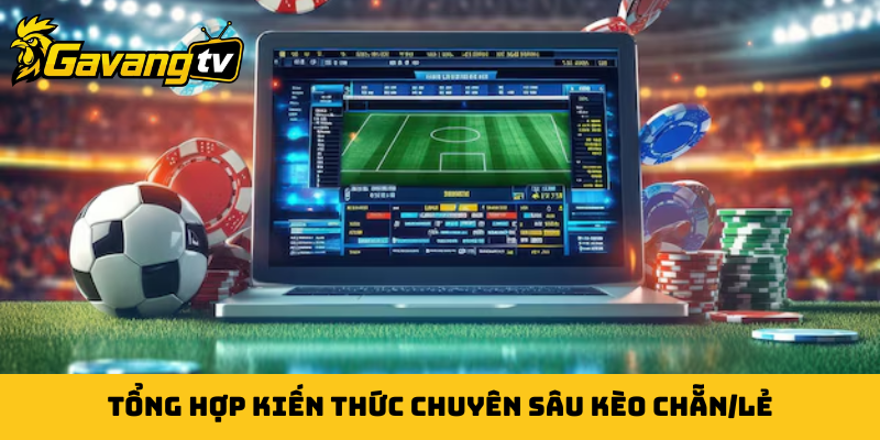 Tổng hợp kiến thức chuyên sâu kèo chẵn/lẻ