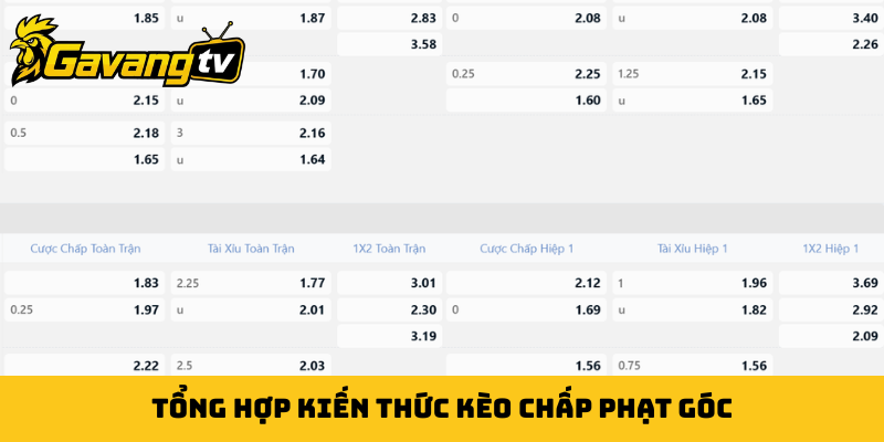 Tổng hợp kiến thức kèo chấp phạt góc