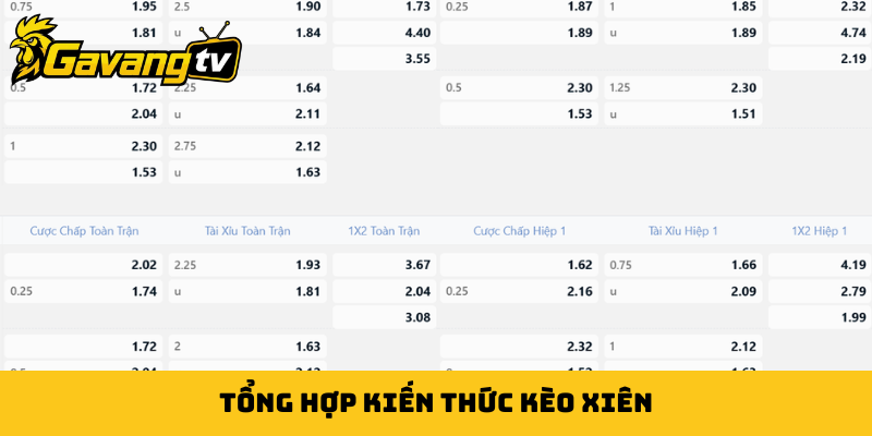 Tổng hợp kiến thức kèo xiên