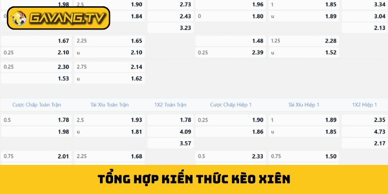 Tổng hợp kiến thức kèo xiên