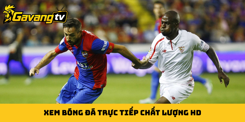Xem bóng đá trực tiếp chất lượng HD